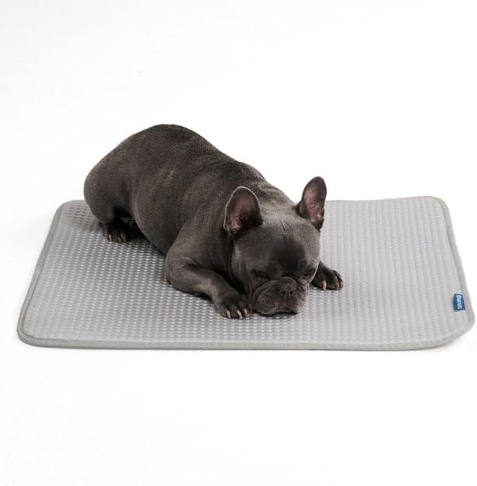 Spark Paws Cooling Mat for Dogs by SparkPaws
