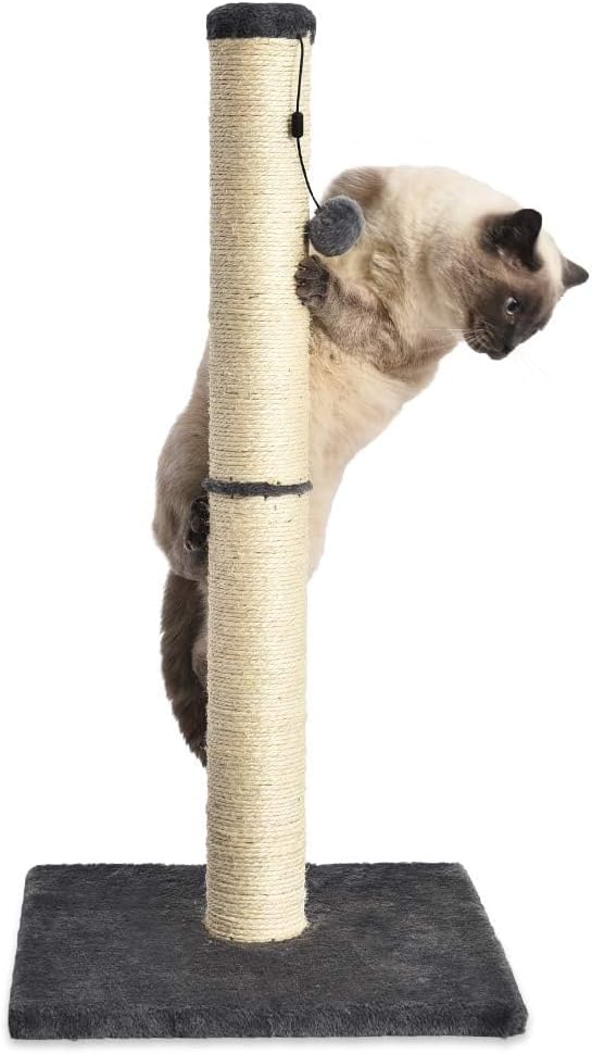 Amazon Basics Cat Scratching Post - Image 4