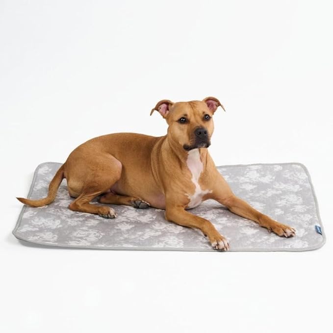 Spark Paws Cooling Mat for Dogs by SparkPaws