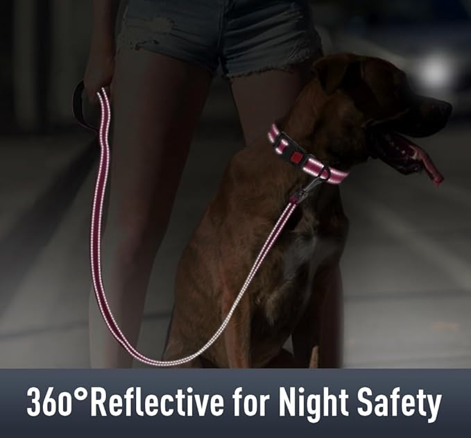 AirTag Dog Collar with AirTag Holder Compatible - Image 4