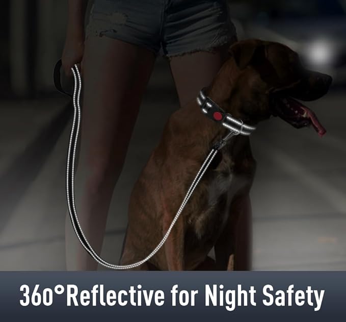 AirTag Dog Collar with AirTag Holder Compatible - Image 4