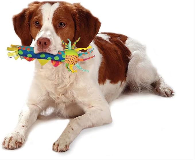 Cool Teething Stick – Puppy Chew Toy - Image 6