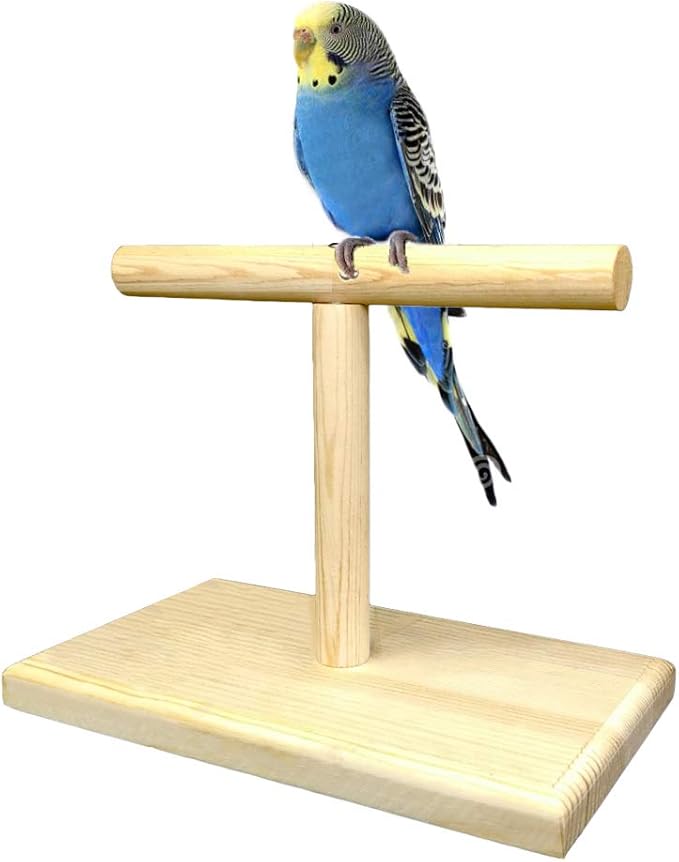 LINSHRY Bird Training Stand, Portable Tabletop Bird Perch Spin Training Perch by Linshry