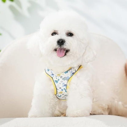 Step in Dog Harness and Leash Set, Flower Adjustable Easy Walk Puppy Harnesses - Image 6