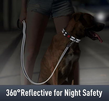 AirTag Dog Collar with AirTag Holder Compatible - Image 4