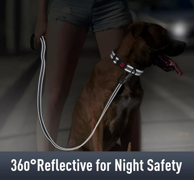 AirTag Dog Collar with AirTag Holder Compatible - Image 4