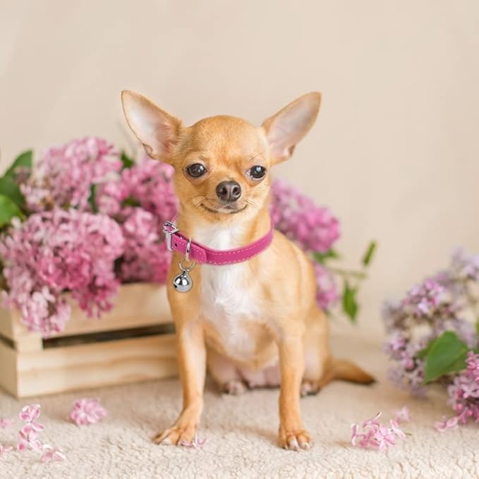 Pink Puppy Collar with Bell Girls PU Leather Small Dog Collars - Image 4