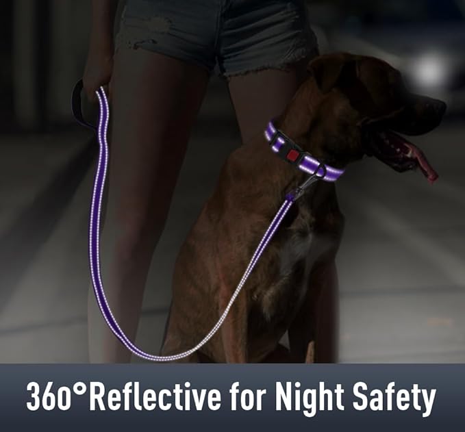 AirTag Dog Collar with AirTag Holder Compatible - Image 4