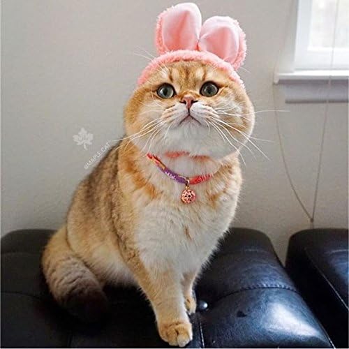 Necoichi Chirimen Cat Collar - Image 7