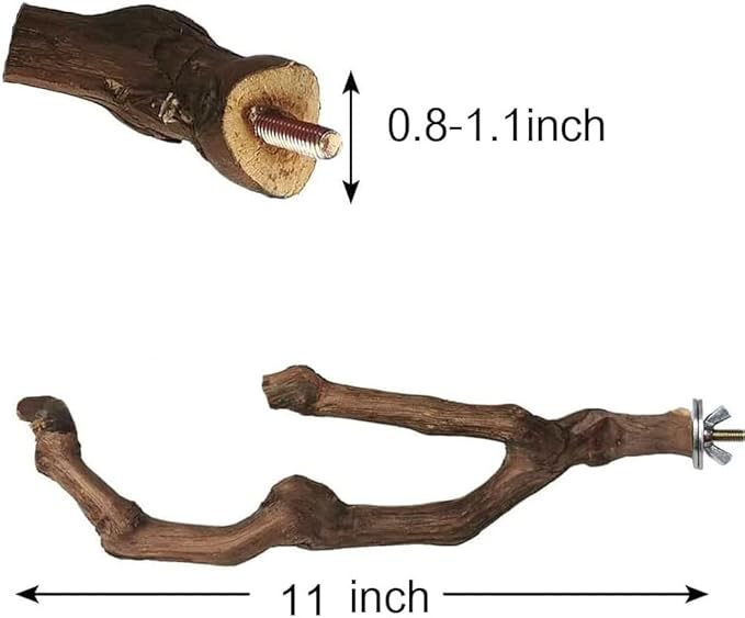 Natural Parrot Perch Wild Grape Stick Bird Standing Pole Claw Grinding Fork - Image 4