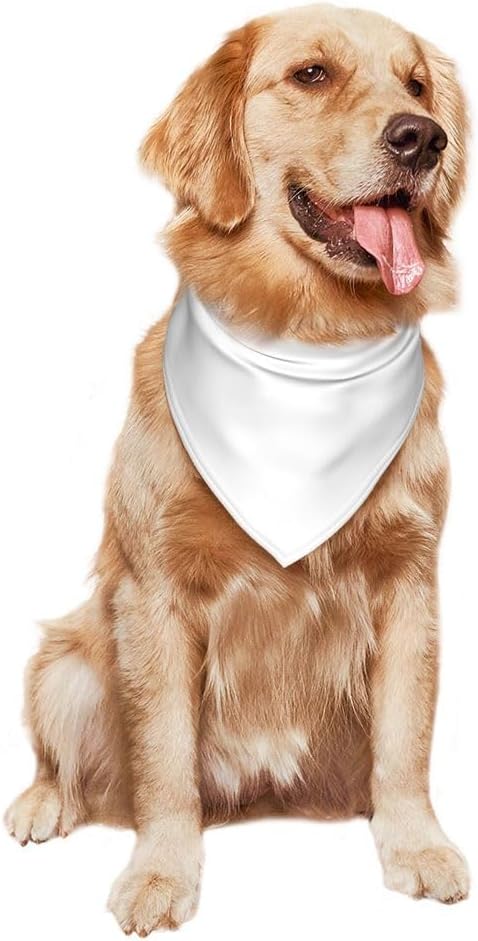 Personalized Dog Scarf Custom Pet Scarf - Image 7