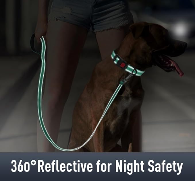 AirTag Dog Collar with AirTag Holder Compatible - Image 4