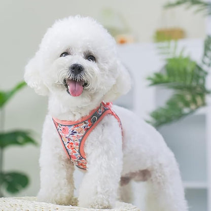 Step in Dog Harness and Leash Set, Flower Adjustable Easy Walk Puppy Harnesses - Image 6