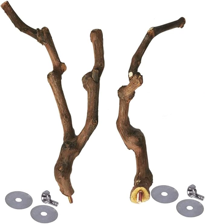 Natural Parrot Perch Wild Grape Stick Bird Standing Pole Claw Grinding Fork - Image 5