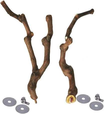 Natural Parrot Perch Wild Grape Stick Bird Standing Pole Claw Grinding Fork - Image 5