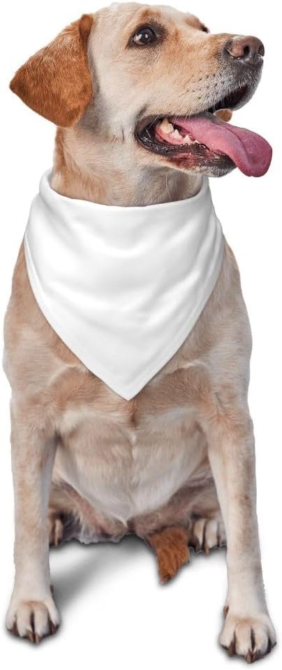 Personalized Dog Scarf Custom Pet Scarf by YURIOPF