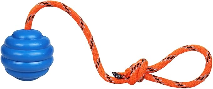 K9 Training Ball with Rope by Nevperish