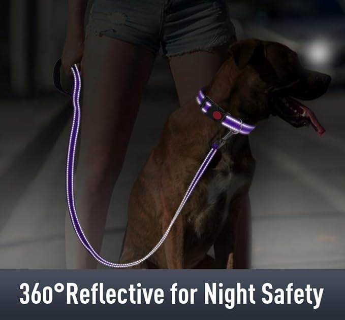 AirTag Dog Collar with AirTag Holder Compatible - Image 4