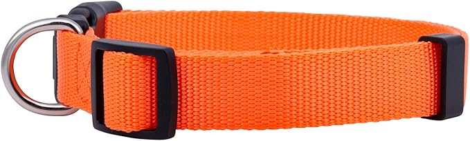 Native Pup Basic Nylon Dog Collar, Adjustable - Image 2