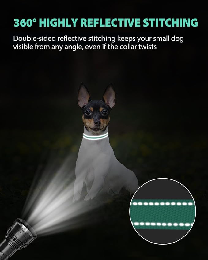 Joytale Puppy Collar, Feather-Light Double-Sided Reflective Nylon Collar - Image 5
