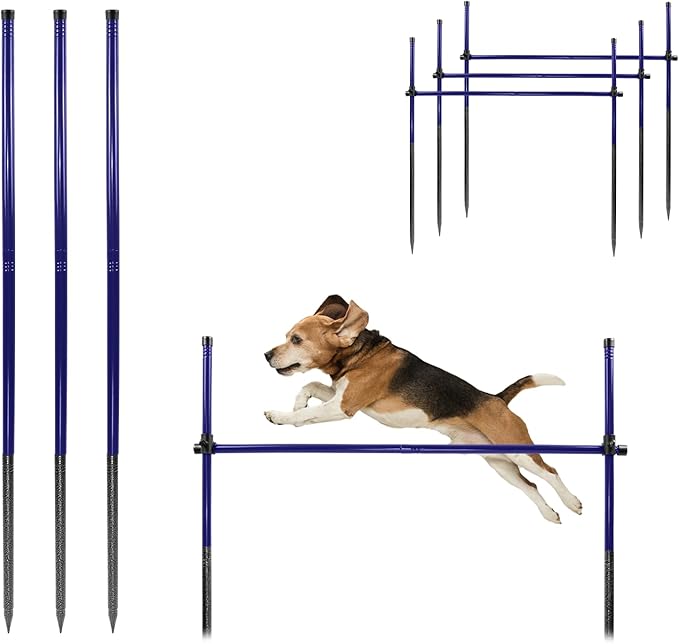 Dog Agility Course Backyard Set, Metal Dog Agility Training Equipment by Qufiona