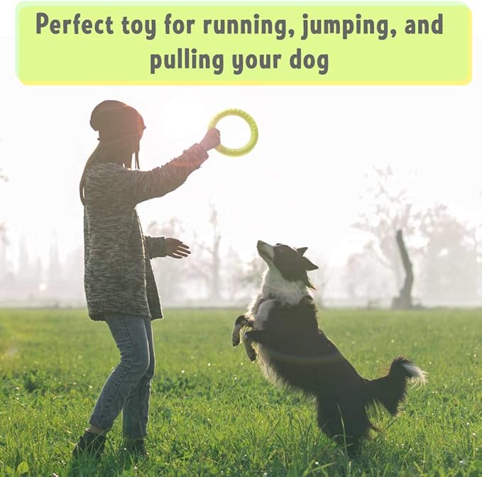 PetSpy Dog Ring Toy – Flying Ring - Image 2