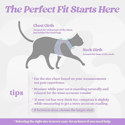 rabbitgoo Cat Harness and Leash, Step-in Escape Proof Kitten Harness Set - Image 2