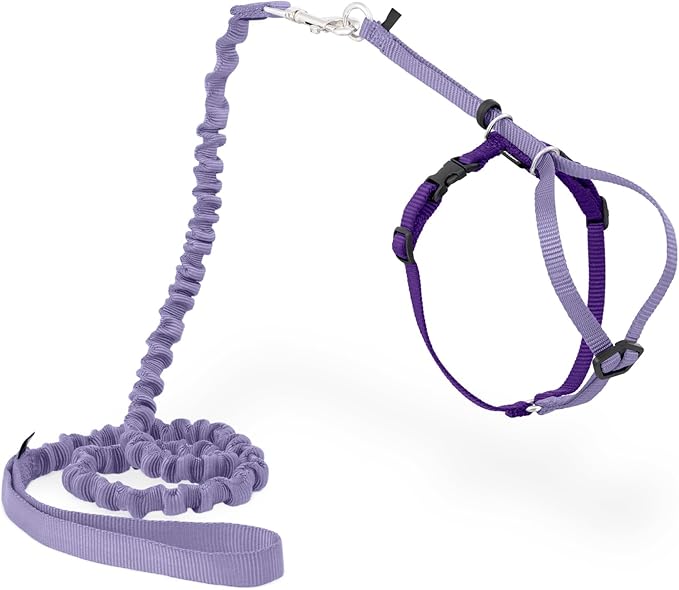 PetSafe Come with Me Kitty Harness and Bungee Leash Adjustable, Lightweight by PetSafe