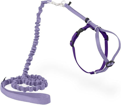 PetSafe Come with Me Kitty Harness and Bungee Leash Adjustable, Lightweight by PetSafe