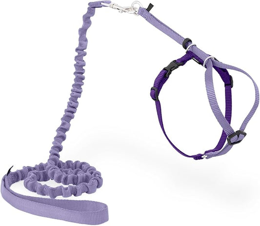 PetSafe Come with Me Kitty Harness and Bungee Leash Adjustable, Lightweight by PetSafe