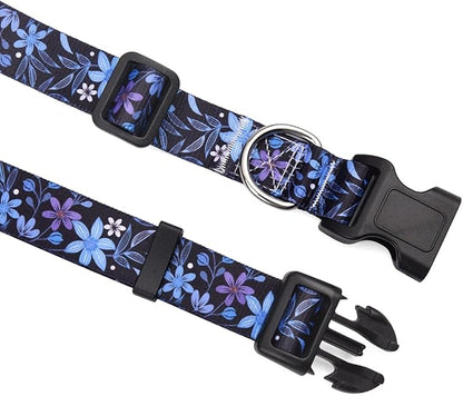 Mihqy Dog Collar and Leash Set - Image 2