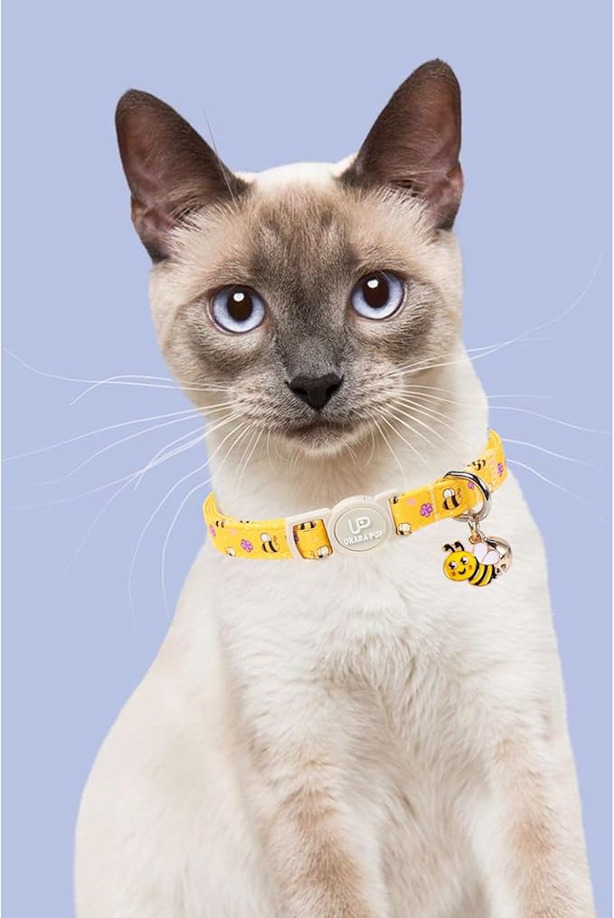 Cat Collar, Pretty Duck Kitten Collars - Image 6