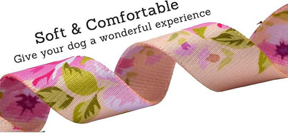 Mihqy Dog Collar and Leash Set - Image 3