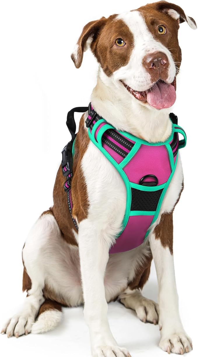 rabbitgoo Dog Harness No Pull by rabbitgoo