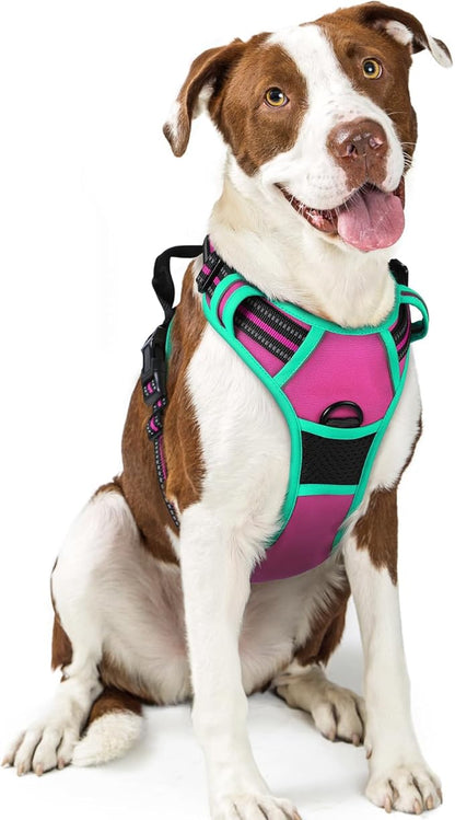 rabbitgoo Dog Harness No Pull by rabbitgoo