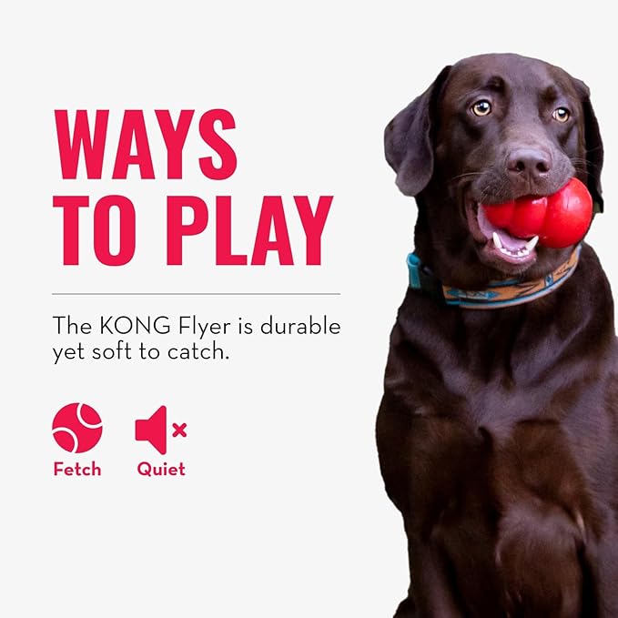 KONG Flyer - Durable Dog Toy for Outdoor Playtime - Natural Rubber Flying Disc - Image 6