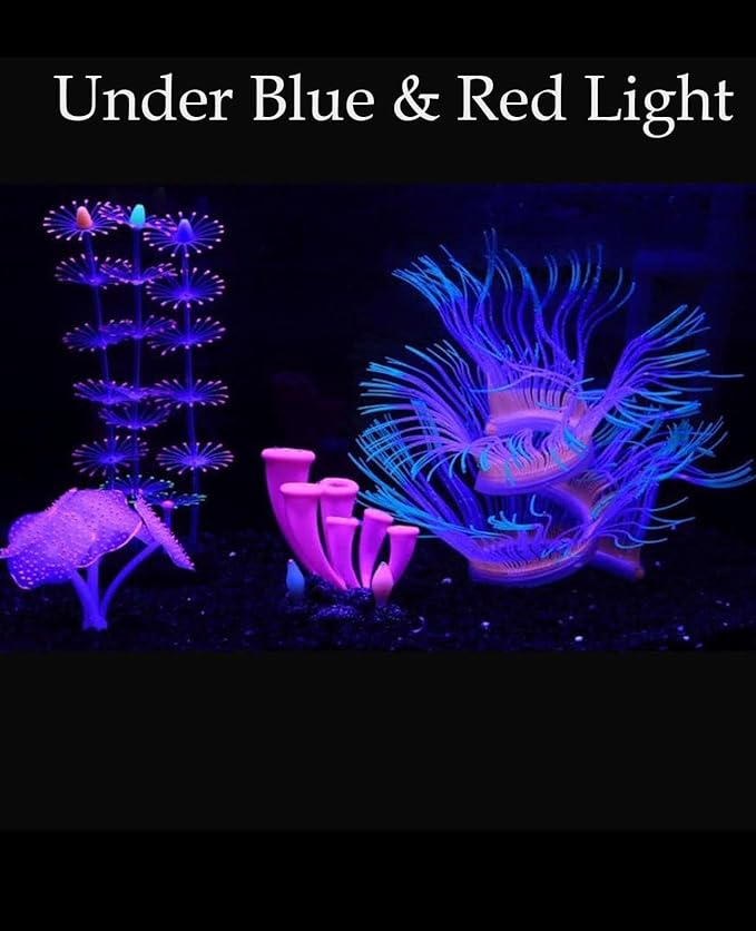 ZtohPyo 4 Pieces Aquarium Fish Tank Decorations - Image 3