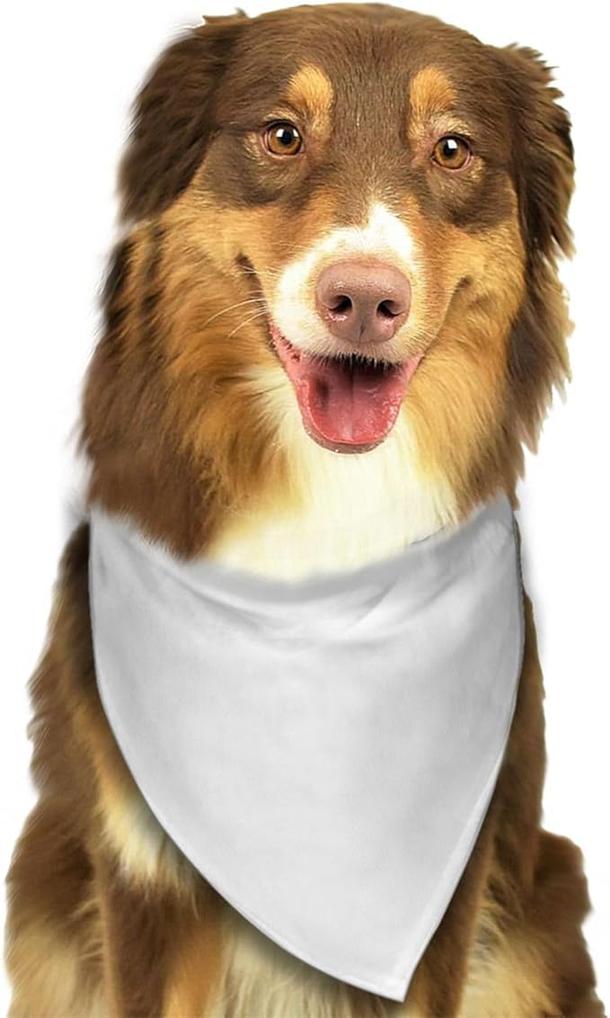 Personalized Dog Scarf Add Your Design Custom Dog Bandanas - Image 3