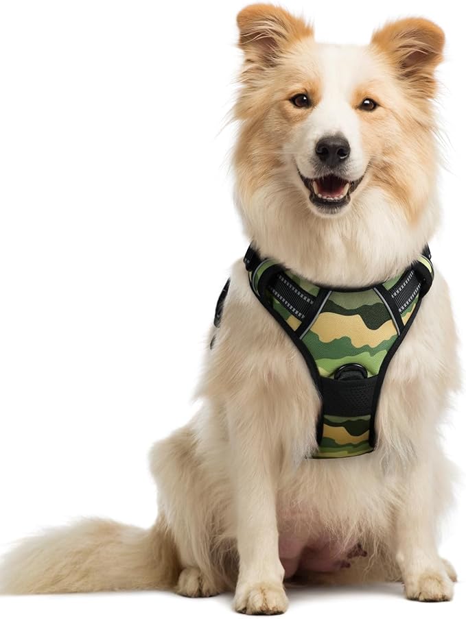 rabbitgoo Dog Harness No Pull by rabbitgoo