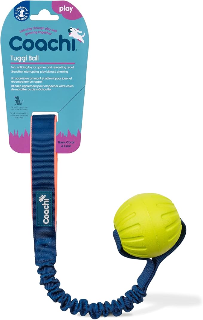 Coachi Tuggi Ball by CompanyofAnimals