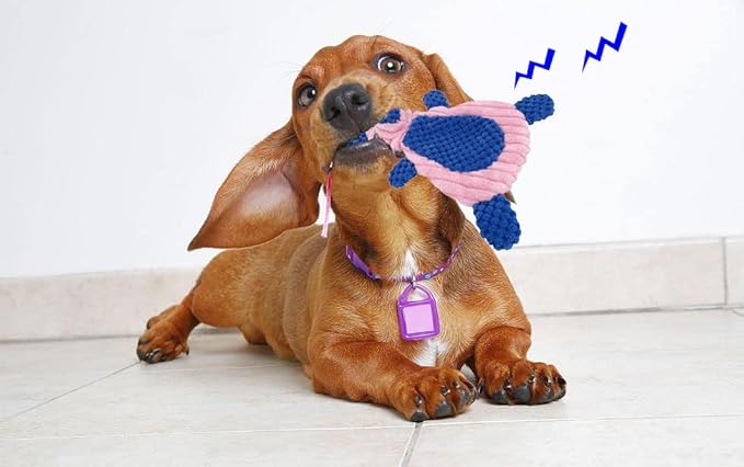 Comtim 2 Pack Durable Dog Chew Toys, Unstuffed Squeaky Dog Toys - Image 5