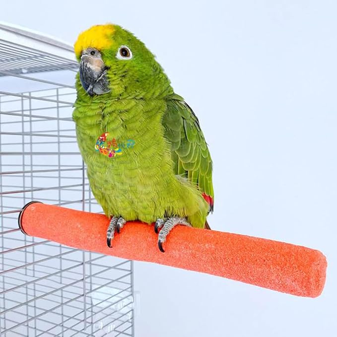 10 PCS Parrot Perch Stand Bird Perch Stand Toy Colorful Paw Grinding Stick Cage - Image 5