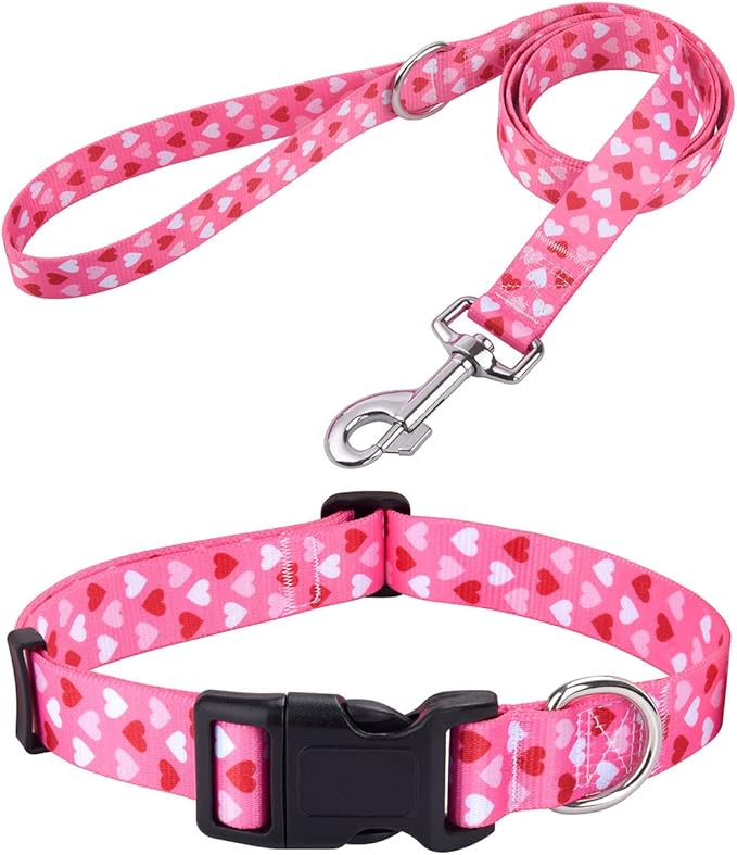 Mihqy Dog Collar and Leash Set by Mihqy