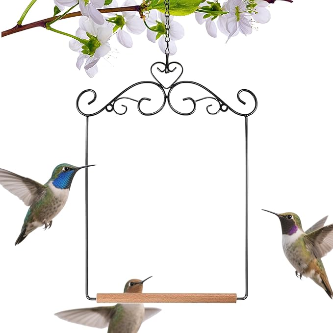 Hummingbird Swings and Perches by Apujent