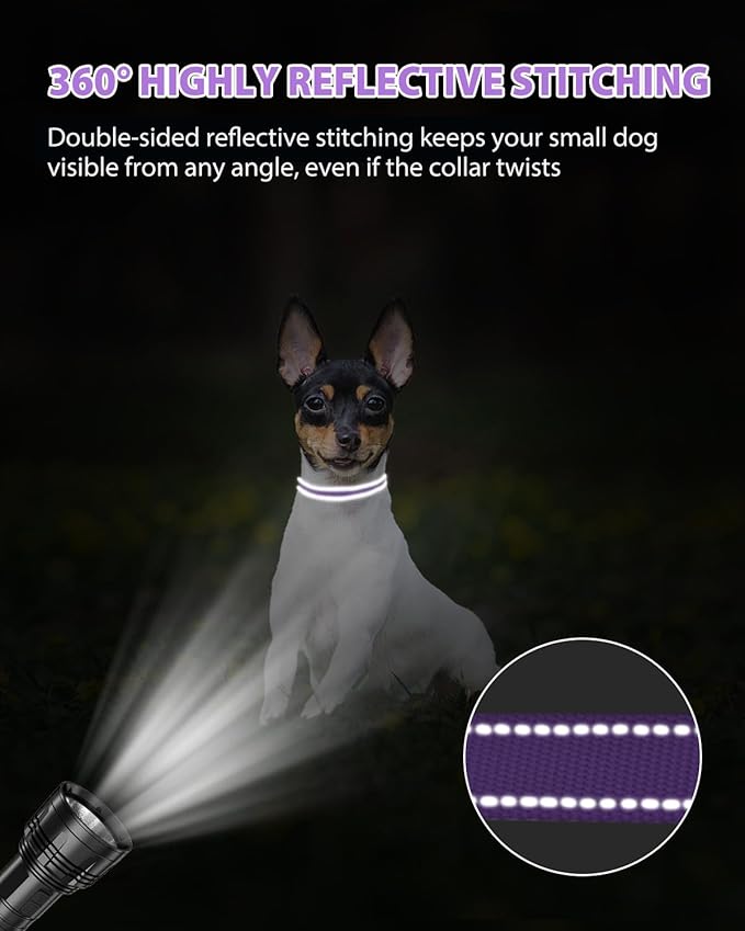 Joytale Puppy Collar, Feather-Light Double-Sided Reflective Nylon Collar - Image 5