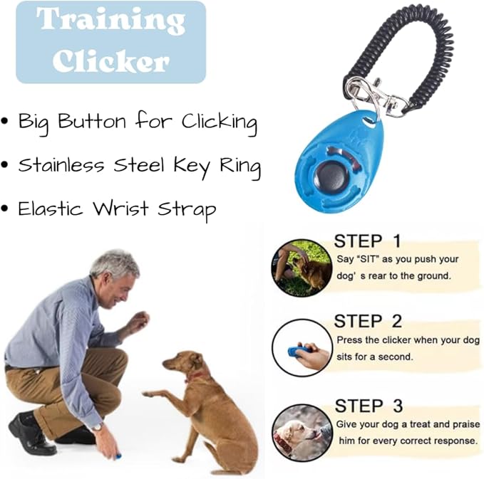 PupLuxe Puppy Starter Kit Blue 22 Piece Kit Great - Image 4