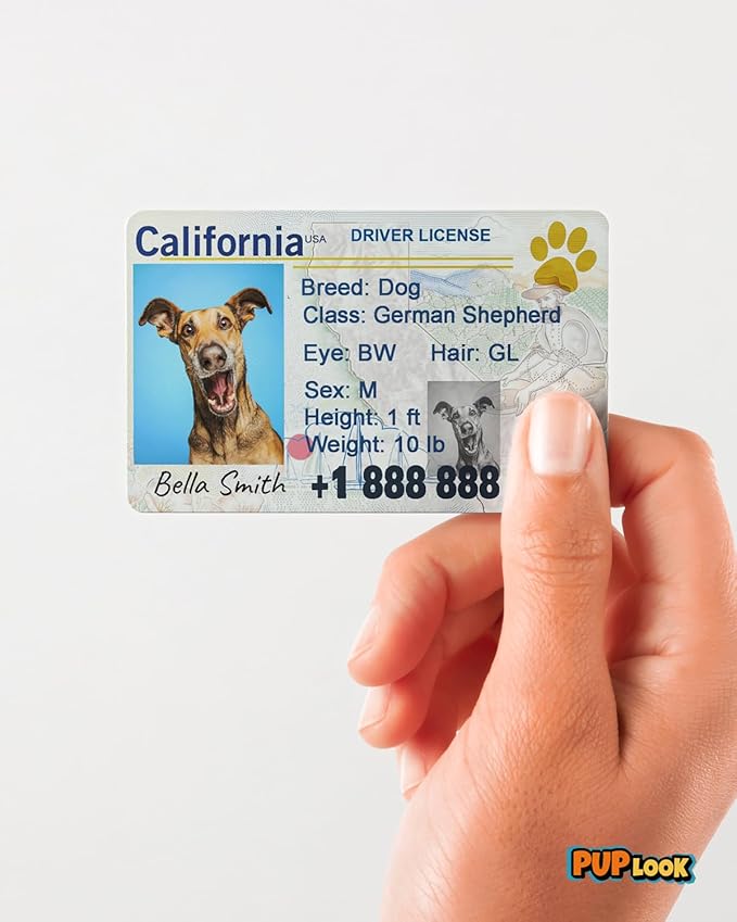 Dog License Tag Custom Pet Driver License ID Tags Dog Name Tags Personalized - Image 7