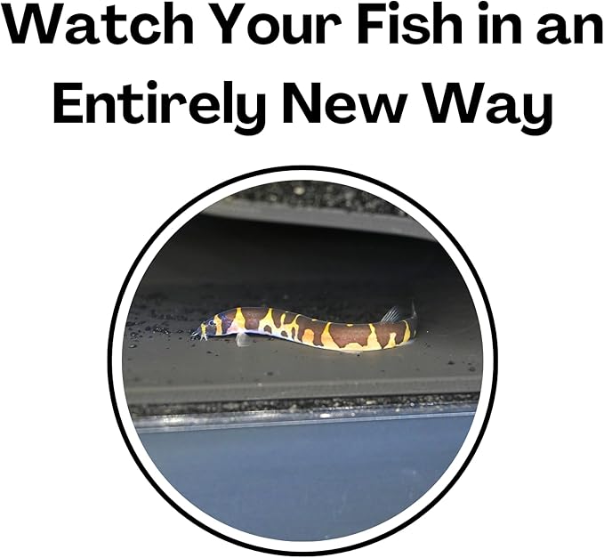 Lucky Critter Aquarium Underground Tunnel Cave Natural Curve | Viewing Fish & - Image 5