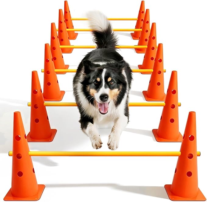 Dog Agility Course Backyard Set, Dog Agility Hurdle Cone Set by Lupar