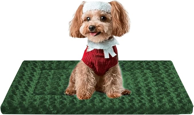 Soft Reversible Dog Mat by FogkissComfyPawsHome